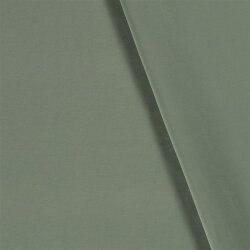 Baumwolljersey *Mila* Uni - antikmint