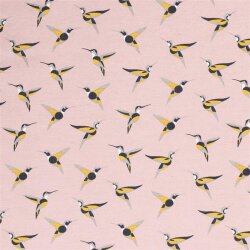 Interieurstoff Kolibri rosa