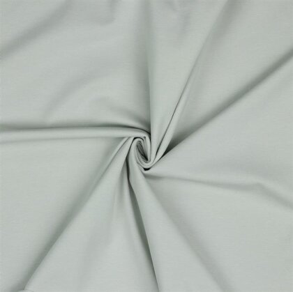 Baumwolljersey Bio~Organic *Gerda* - lichtgrau