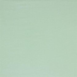 Baumwolljersey Bio~Organic *Gerda* - softminze