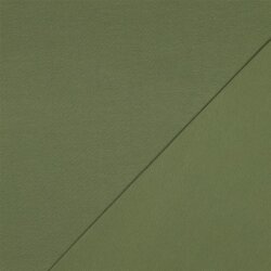 Baumwolljersey Bio~Organic *Gerda* - gurkengrün