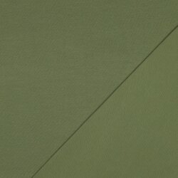 Baumwolljersey Bio~Organic *Gerda* - gurkengrün