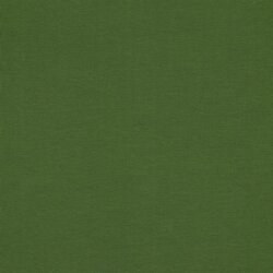 Baumwolljersey Bio~Organic *Gerda* - gurkengrün