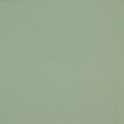 Baumwolljersey Bio~Organic *Gerda* - hellsalbei