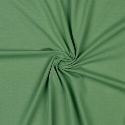 Baumwolljersey Bio~Organic *Gerda* - altmint
