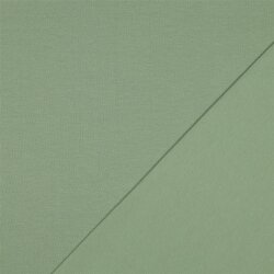 Baumwolljersey Bio~Organic *Gerda* - altmint