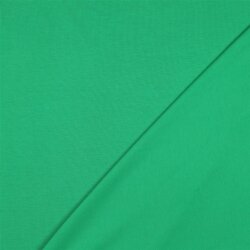 Baumwolljersey *Vera* - apfelgrün