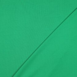 Baumwolljersey *Vera* - apfelgrün