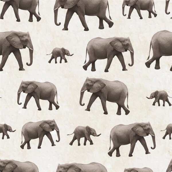 Baumwolljersey Digital Elefanten- creme 16,99 €