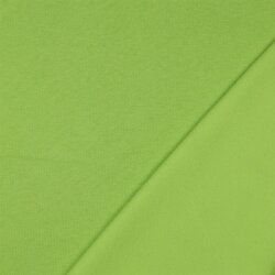 Wintersweat *Vera* - limette