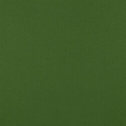 Viskose Jersey * Vera* - grün