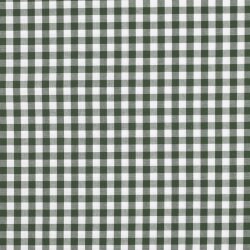 Baumwollpopeline garngefärbt - Vichy Karo 10mm *Vera* - dunkelgrün