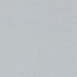 Glitzertüll Royal - weiss/silber