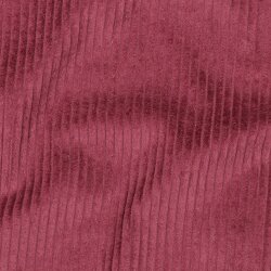 Breitcord *Vera* - beere