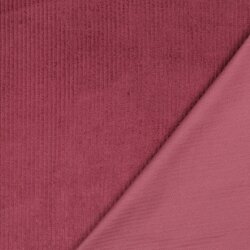 Breitcord *Vera* - beere