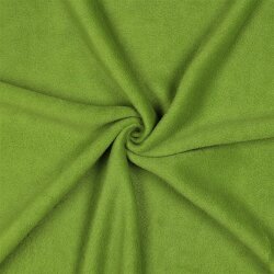 Antipilling Fleece *Vera* - grün