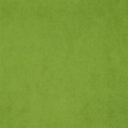Antipilling Fleece *Vera* - grün