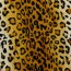 Tierfellimitat Leopard - weiss/hellbraun