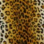 Tierfellimitat Leopard - weiss/hellbraun