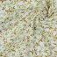 Musselin Digital Blumen - weiss/cognak
