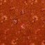 Musselin Digital Paisley - dunkelorange