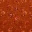 Musselin Digital Paisley - dunkelorange