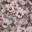 Viskose Digital Blumen - taupe