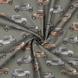 Canvas Digital CARS - dunkeloliv