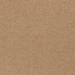 Filz 3mm - beige
