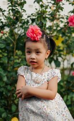 Musselin Digital Sommerwiese - weiss