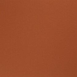 Baumwolljersey *Marie* Recycelt - rost