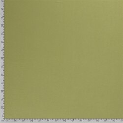 ECOVERO Viskosejersey (AS 0) - FARBE