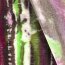 Woll Strick Mix bunt Gestreift - altrosa