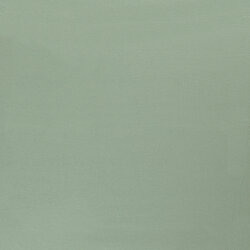 Viskose Jersey *Marie* Uni - antikmint
