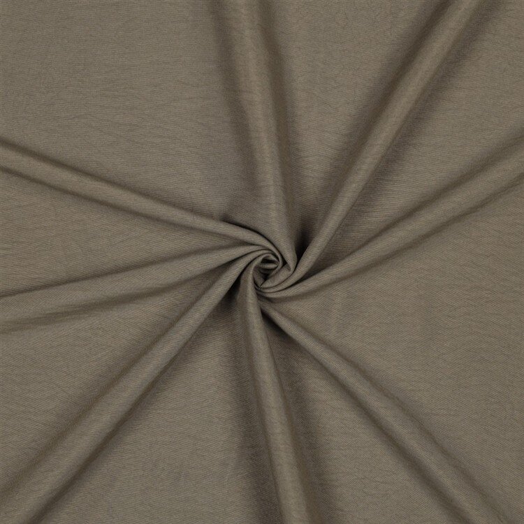 Papillon Uni - kaltbraun