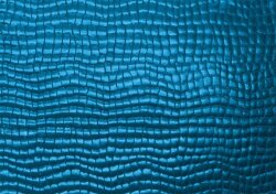 Folienjersey Reptiloptik Uni - blau