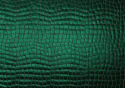 Folienjersey Reptiloptik Uni - grün