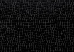 Folienjersey Reptiloptik Uni - schwarz