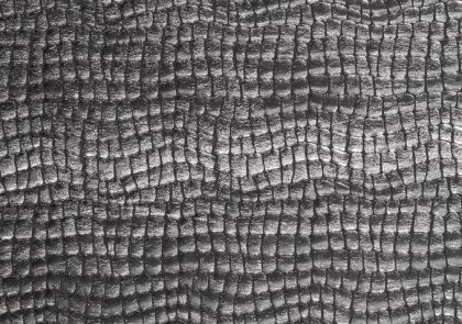 Folienjersey Reptiloptik Uni - silber