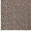 Baumwolljersey Leopunkte - beige