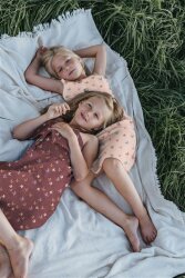 Baumwollpopeline Organic Vögel & Schmetterlinge - jeans