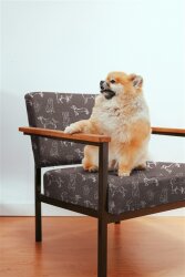 Canvas Hunde - olivgrün