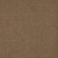 Teddystoff Doppelseitig Uni - sand
