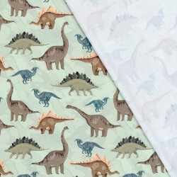 Badejersey LSF50 Recycled Dinosaurier - hellsalbei