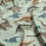 Badejersey LSF50 Recycled Dinosaurier - hellsalbei