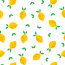 Baumwollpopeline gelbe Zitronen - weiss