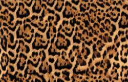 Regenjackenstoff leicht Leopardenfell - kamel