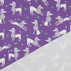 Baumwolljersey Glitzer Pudel - lavendel