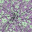 Baumwolljersey Blumen - lila