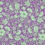 Baumwolljersey Blumen - lila